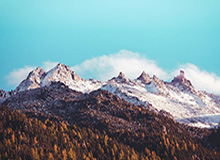 IM体育：重新定义体育娱乐的边界